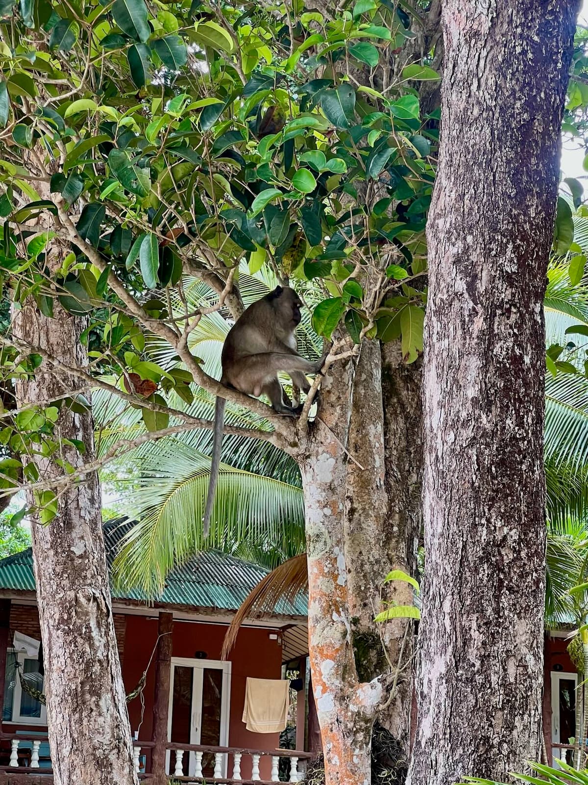Ko Phayam