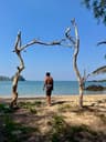thumbnail Ko Phra Thong